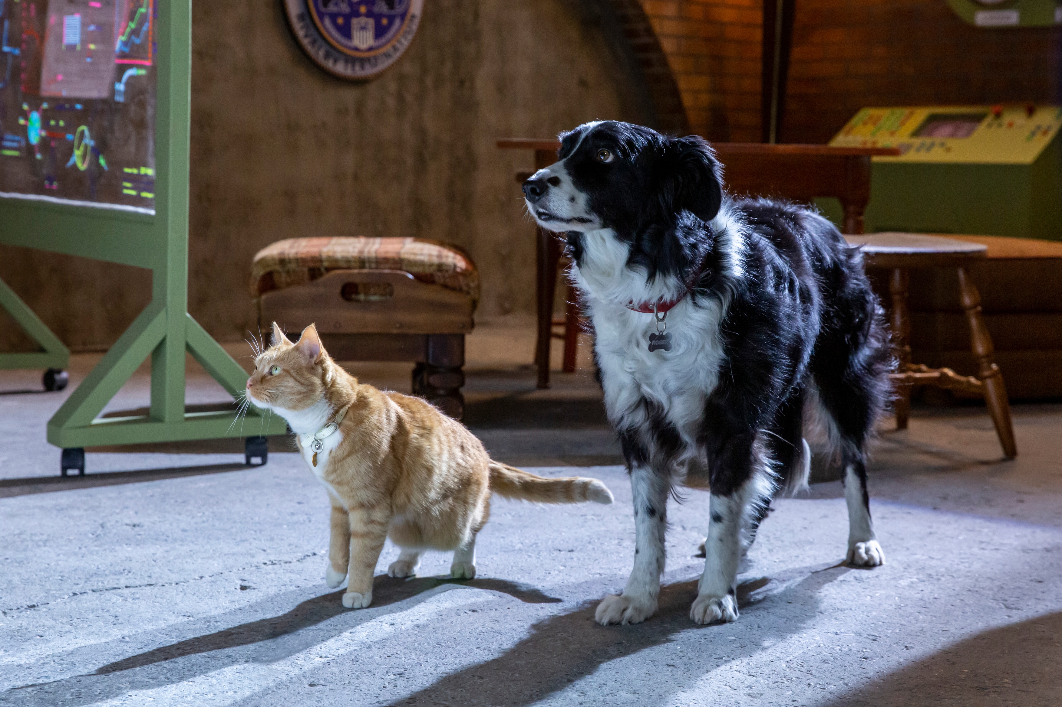Szenenbild 1 vom Film Cats & Dogs: Pfoten vereint!